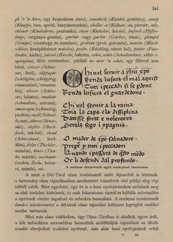 Bild der Seite - 345 - in Az Osztrák-Magyar Monarchia írásban és képben - Tirol és Vorarlberg (2), Band 13/2