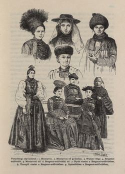 Bild der Seite - 367 - in Az Osztrák-Magyar Monarchia írásban és képben - Tirol és Vorarlberg (2), Band 13/2
