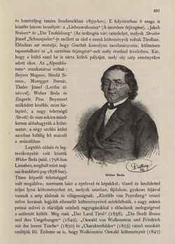 Bild der Seite - 397 - in Az Osztrák-Magyar Monarchia írásban és képben - Tirol és Vorarlberg (2), Band 13/2