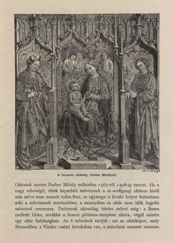 Bild der Seite - 461 - in Az Osztrák-Magyar Monarchia írásban és képben - Tirol és Vorarlberg (2), Band 13/2