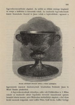 Bild der Seite - 503 - in Az Osztrák-Magyar Monarchia írásban és képben - Tirol és Vorarlberg (2), Band 13/2