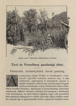 Bild der Seite - 509 - in Az Osztrák-Magyar Monarchia írásban és képben - Tirol és Vorarlberg (2), Band 13/2