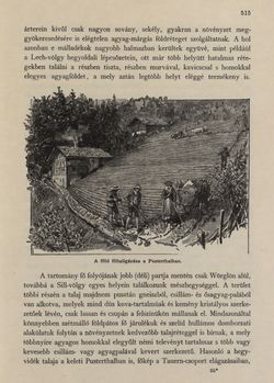 Bild der Seite - 515 - in Az Osztrák-Magyar Monarchia írásban és képben - Tirol és Vorarlberg (2), Band 13/2