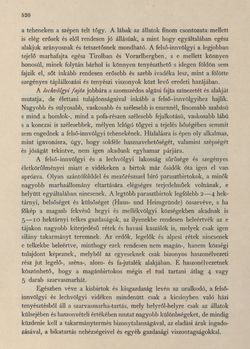 Bild der Seite - 520 - in Az Osztrák-Magyar Monarchia írásban és képben - Tirol és Vorarlberg (2), Band 13/2