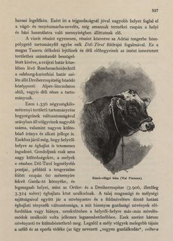 Image of the Page - 527 - in Az Osztrák-Magyar Monarchia írásban és képben - Tirol és Vorarlberg (2), Volume 13/2