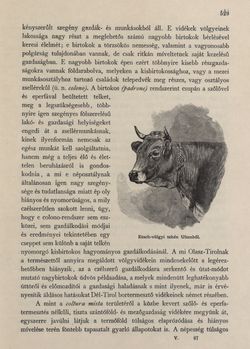 Image of the Page - 529 - in Az Osztrák-Magyar Monarchia írásban és képben - Tirol és Vorarlberg (2), Volume 13/2