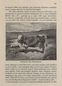 Bild der Seite - 533 - in Az Osztrák-Magyar Monarchia írásban és képben - Tirol és Vorarlberg (2), Band 13/2