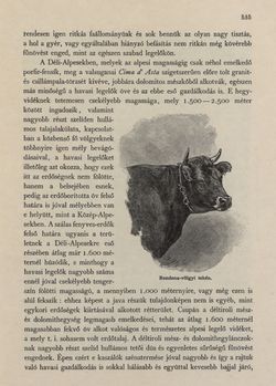 Image of the Page - 535 - in Az Osztrák-Magyar Monarchia írásban és képben - Tirol és Vorarlberg (2), Volume 13/2