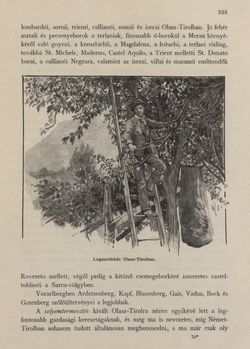 Image of the Page - 555 - in Az Osztrák-Magyar Monarchia írásban és képben - Tirol és Vorarlberg (2), Volume 13/2