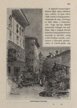 Image of the Page - 561 - in Az Osztrák-Magyar Monarchia írásban és képben - Tirol és Vorarlberg (2), Volume 13/2