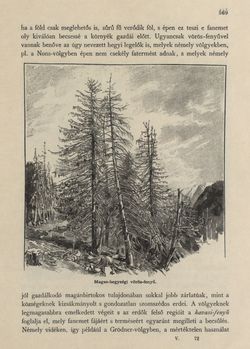 Image of the Page - 569 - in Az Osztrák-Magyar Monarchia írásban és képben - Tirol és Vorarlberg (2), Volume 13/2