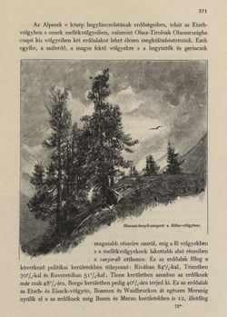 Image of the Page - 571 - in Az Osztrák-Magyar Monarchia írásban és képben - Tirol és Vorarlberg (2), Volume 13/2