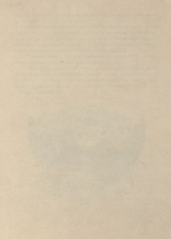 Bild der Seite - 596 - in Az Osztrák-Magyar Monarchia írásban és képben - Tirol és Vorarlberg (2), Band 13/2