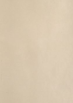 Bild der Seite - 597 - in Az Osztrák-Magyar Monarchia írásban és képben - Tirol és Vorarlberg (2), Band 13/2