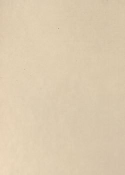 Bild der Seite - 598 - in Az Osztrák-Magyar Monarchia írásban és képben - Tirol és Vorarlberg (2), Band 13/2