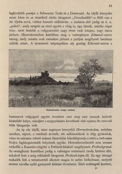Bild der Seite - 51 - in Az Osztrák-Magyar Monarchia írásban és képben - Csehország I (1), Band 14/1