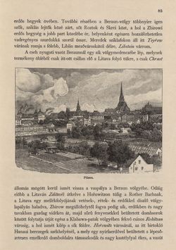 Bild der Seite - 85 - in Az Osztrák-Magyar Monarchia írásban és képben - Csehország I (1), Band 14/1