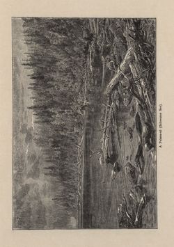 Bild der Seite - 95 - in Az Osztrák-Magyar Monarchia írásban és képben - Csehország I (1), Band 14/1