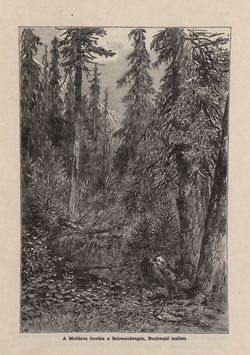 Bild der Seite - 101 - in Az Osztrák-Magyar Monarchia írásban és képben - Csehország I (1), Band 14/1