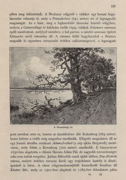 Bild der Seite - 137 - in Az Osztrák-Magyar Monarchia írásban és képben - Csehország I (1), Band 14/1