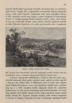 Bild der Seite - 141 - in Az Osztrák-Magyar Monarchia írásban és képben - Csehország I (1), Band 14/1