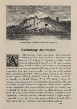 Bild der Seite - 203 - in Az Osztrák-Magyar Monarchia írásban és képben - Csehország I (1), Band 14/1