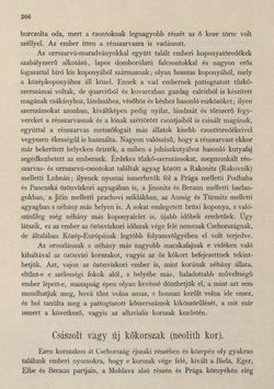 Bild der Seite - 206 - in Az Osztrák-Magyar Monarchia írásban és képben - Csehország I (1), Band 14/1
