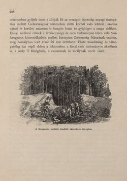Image of the Page - 228 - in Az Osztrák-Magyar Monarchia írásban és képben - Csehország I (1), Volume 14/1
