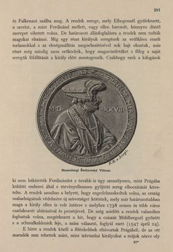 Image of the Page - 291 - in Az Osztrák-Magyar Monarchia írásban és képben - Csehország I (2), Volume 14/2