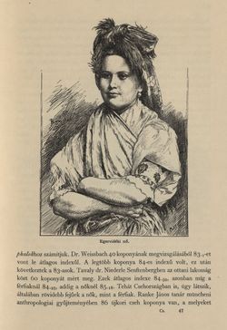 Image of the Page - 369 - in Az Osztrák-Magyar Monarchia írásban és képben - Csehország I (2), Volume 14/2