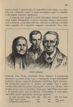 Image of the Page - 389 - in Az Osztrák-Magyar Monarchia írásban és képben - Csehország I (2), Volume 14/2