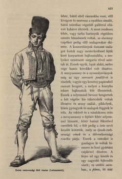 Bild der Seite - 423 - in Az Osztrák-Magyar Monarchia írásban és képben - Csehország I (2), Band 14/2
