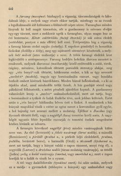 Bild der Seite - 442 - in Az Osztrák-Magyar Monarchia írásban és képben - Csehország I (2), Band 14/2