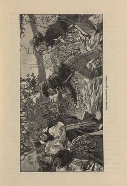 Bild der Seite - 445 - in Az Osztrák-Magyar Monarchia írásban és képben - Csehország I (2), Band 14/2