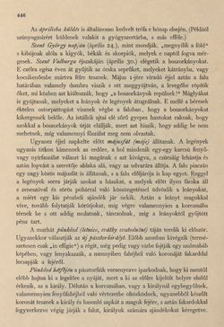 Bild der Seite - 446 - in Az Osztrák-Magyar Monarchia írásban és képben - Csehország I (2), Band 14/2