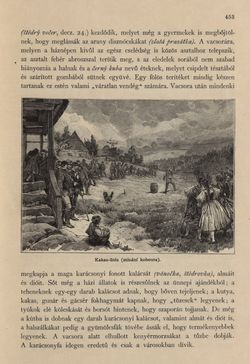 Bild der Seite - 453 - in Az Osztrák-Magyar Monarchia írásban és képben - Csehország I (2), Band 14/2