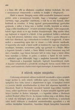 Bild der Seite - 460 - in Az Osztrák-Magyar Monarchia írásban és képben - Csehország I (2), Band 14/2