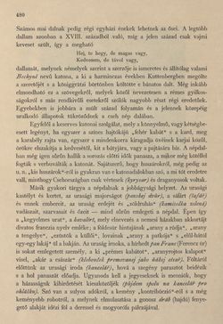 Bild der Seite - 480 - in Az Osztrák-Magyar Monarchia írásban és képben - Csehország I (2), Band 14/2