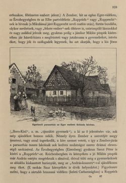 Bild der Seite - 529 - in Az Osztrák-Magyar Monarchia írásban és képben - Csehország I (2), Band 14/2