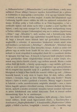 Bild der Seite - 545 - in Az Osztrák-Magyar Monarchia írásban és képben - Csehország I (2), Band 14/2