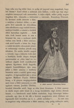 Bild der Seite - 593 - in Az Osztrák-Magyar Monarchia írásban és képben - Csehország I (2), Band 14/2