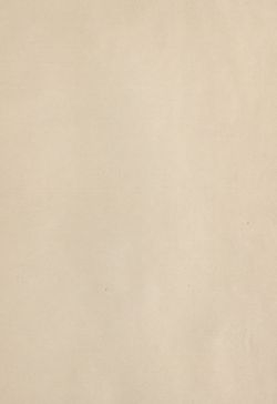 Bild der Seite - (00000331) - in Az Osztrák-Magyar Monarchia írásban és képben - Csehország I (2), Band 14/2