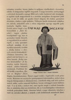 Bild der Seite - 75 - in Az Osztrák-Magyar Monarchia írásban és képben - Csehország II (1), Band 15/1