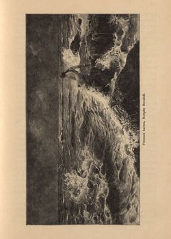Image of the Page - 421 - in Az Osztrák-Magyar Monarchia írásban és képben - Csehország II (2), Volume 15/2