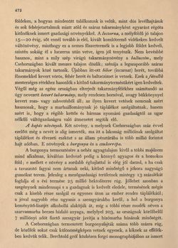 Image of the Page - 472 - in Az Osztrák-Magyar Monarchia írásban és képben - Csehország II (2), Volume 15/2