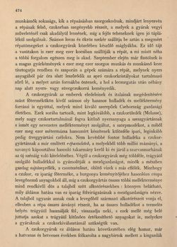 Image of the Page - 474 - in Az Osztrák-Magyar Monarchia írásban és képben - Csehország II (2), Volume 15/2