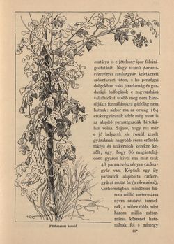 Image of the Page - 475 - in Az Osztrák-Magyar Monarchia írásban és képben - Csehország II (2), Volume 15/2