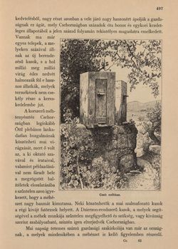 Image of the Page - 497 - in Az Osztrák-Magyar Monarchia írásban és képben - Csehország II (2), Volume 15/2