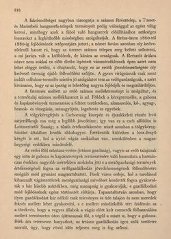 Image of the Page - 518 - in Az Osztrák-Magyar Monarchia írásban és képben - Csehország II (2), Volume 15/2