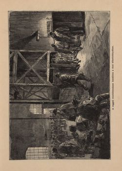 Bild der Seite - 565 - in Az Osztrák-Magyar Monarchia írásban és képben - Csehország II (2), Band 15/2